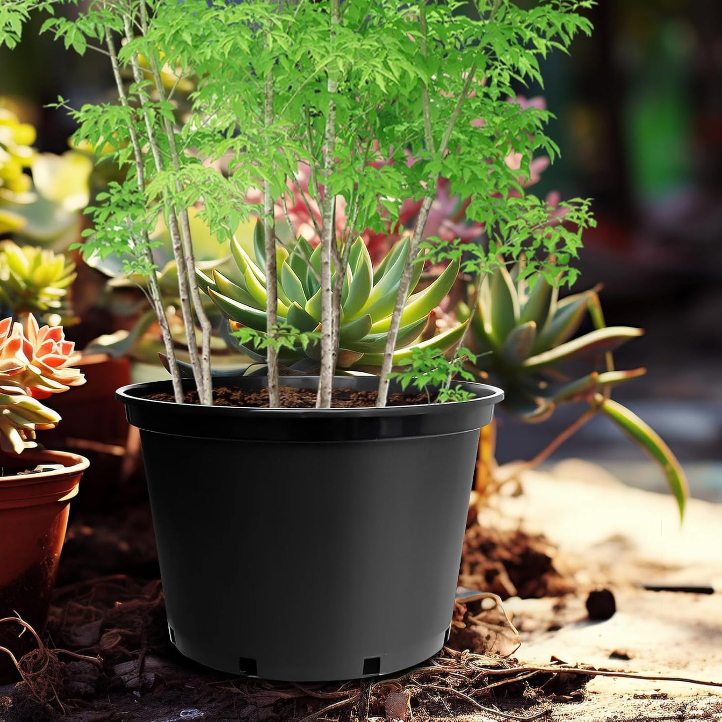 5 Gallon Nursery Pots (10-Pack) + 50ft Garden Hose with Spray Nozzle + 3-in-1 Soil Tester for Moisture/Light/pH | All-in-One Gardening Kit for Indoor/Outdoor Plants, Gardening Gifts for Women