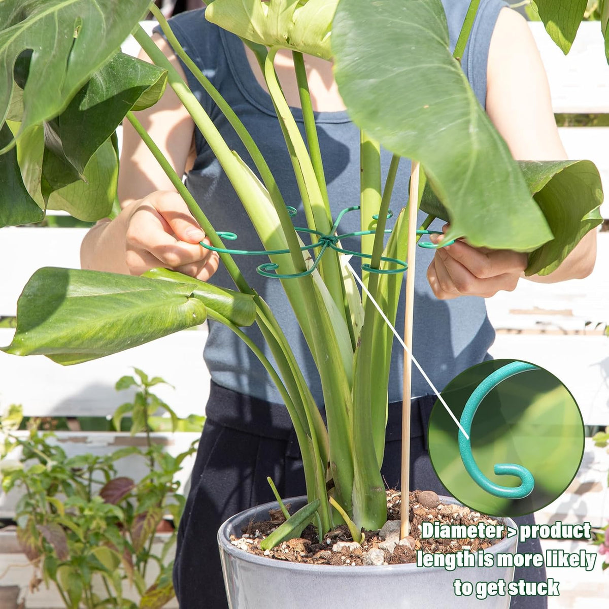 5PCS Monstera Plant Support Hook - 4.1 * 4.4IN Stem Holder