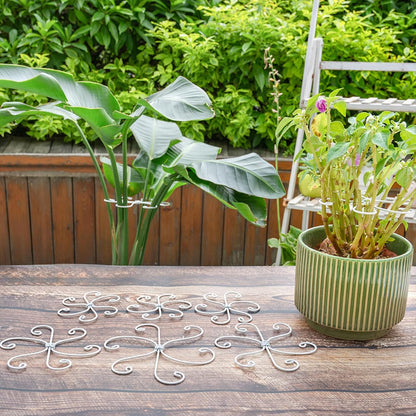 5PCS Monstera Plant Support Hook - 4.1 * 4.4IN Stem Holder