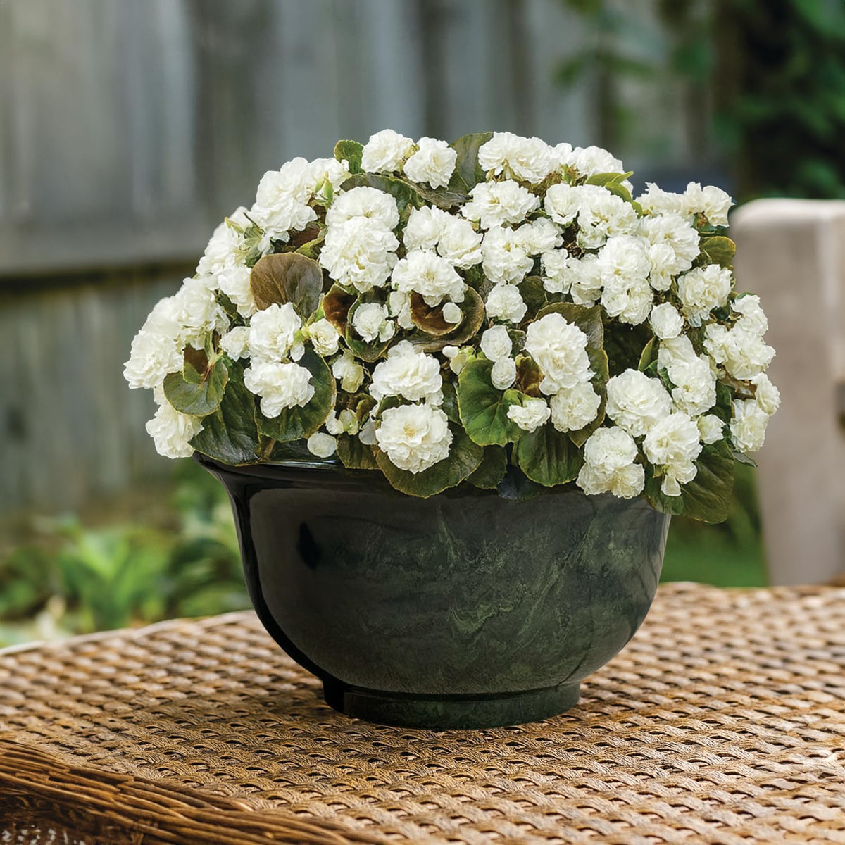 Classic Home and Garden Venetian Deep Bowl 12.5" Planter, Gray Granite