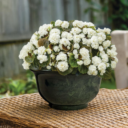 Classic Home and Garden Venetian Deep Bowl 12.5" Planter, Gray Granite
