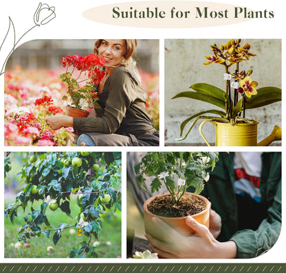 50Pcs Orchid Clips Plastic Dragonfly Butterfly Plant Clips,Portable Garden Plant Support Clip for Supporting Stems Orchid Vines Stalks Climbing Plants Grow Uprigh