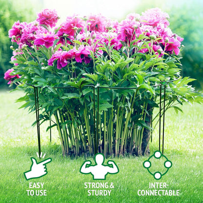 24 Inch Peony Cages and Supports for Large Hydrangea Bushes, Outdoor Plants, Heavy Duty Tall Plant Support Stakes, 12 Pack - Tool-Free Interlocking Design with Powder Coated Rust-Proof Metal Ring