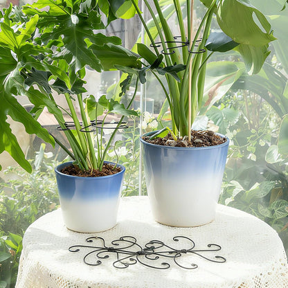 5PCS Monstera Plant Support Hook - 4.1 * 4.4IN Stem Holder
