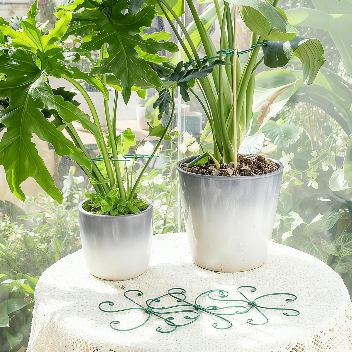 5PCS Monstera Plant Support Hook - 4.1 * 4.4IN Stem Holder