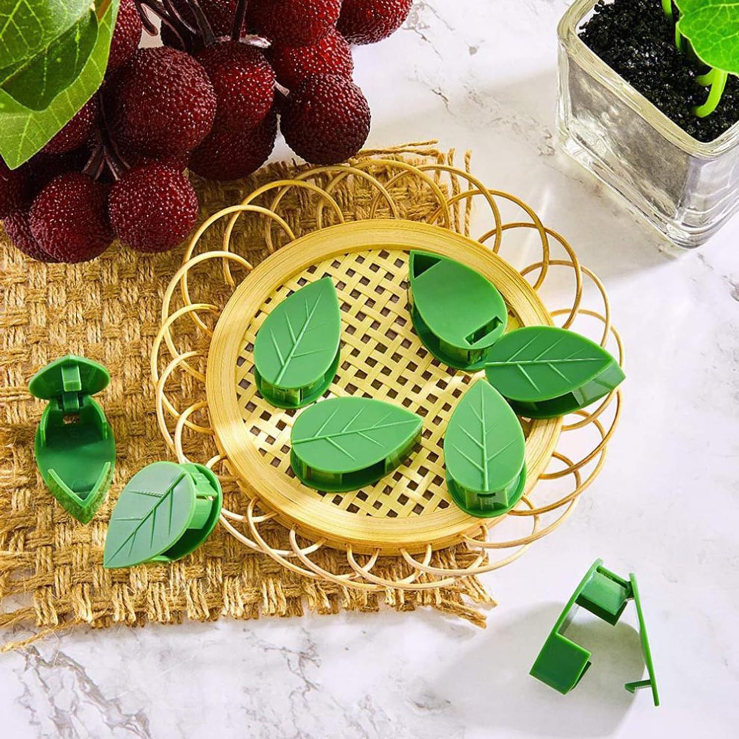 LUOTIVON 24 Pcs Plant Climbing Wall Fixture Clips, Plant Fixer Invisible Wall Vines Fixing Clips with 24 Pcs Acrylic Adhesive Sticker, Self-Adhesive Hook Plant Vine Support Holder