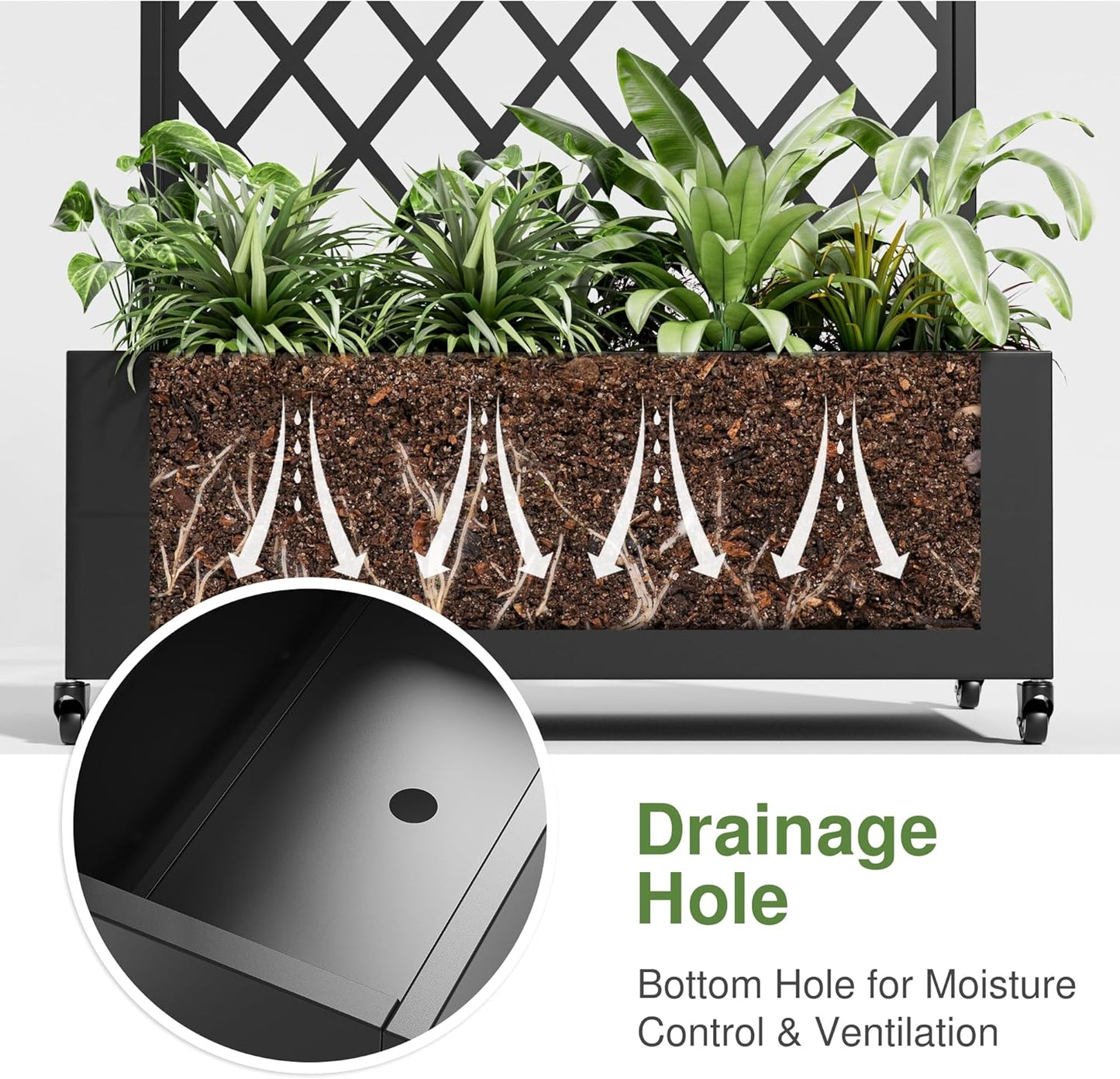 Casaphoria Metal Raised Garden Bed with Trellis and Wheels, 72"x47"x16" Planter Box for Climbing Plants, Vegetables & Vines, Features Drainage Holes and Privacy Screen (Black-Louver) - Colors D