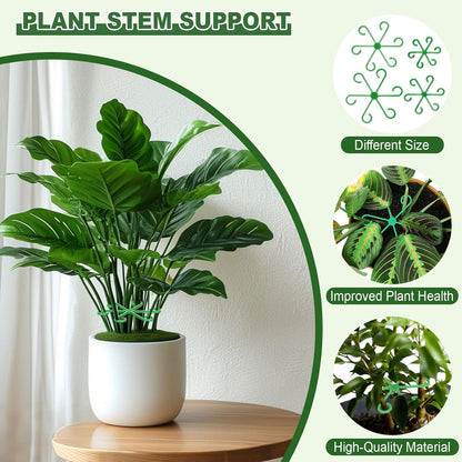 8pcs Plant Stem Support, Plant Support for Indoor Plants, 4 Sizes Climbing Houseplant Stem Holders, Reusable Plant Stabilizer, Indoor Plants Accessories