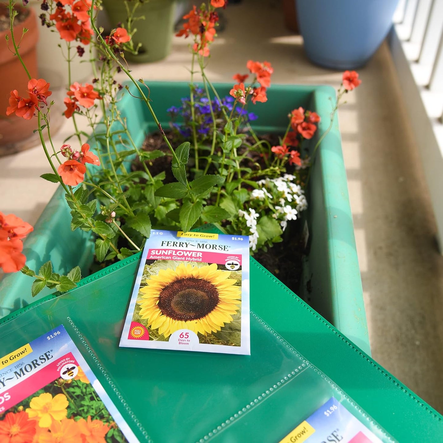 Samsill 50 Pack Heavy Weight 4 Pocket Garden Seeds Storage Clear Sheet Protectors, Seed Organizer, Each Pocket Measures 3.5" x 5.25", Fits in Standard 3 Ring Binder