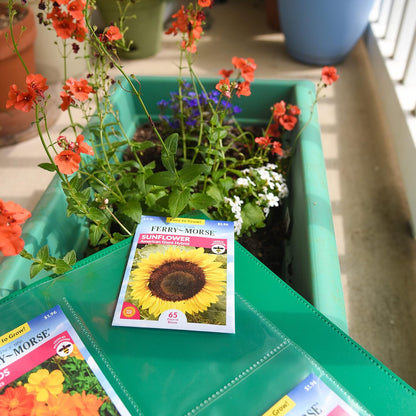 Samsill 50 Pack Heavy Weight 4 Pocket Garden Seeds Storage Clear Sheet Protectors, Seed Organizer, Each Pocket Measures 3.5" x 5.25", Fits in Standard 3 Ring Binder