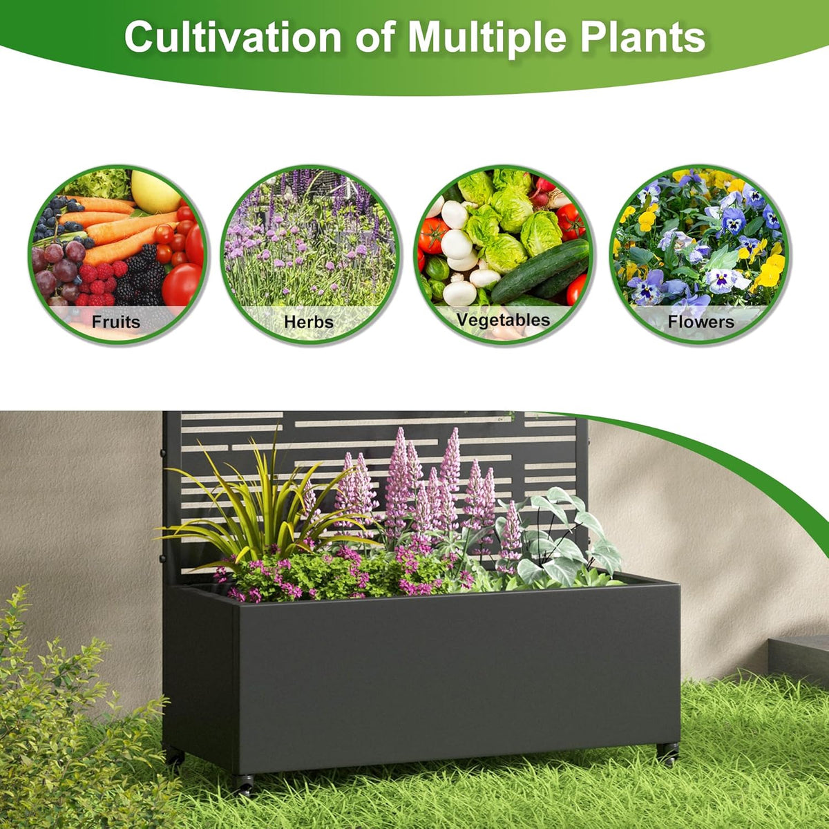 Casaphoria Metal Raised Garden Bed with Trellis and Wheels, 72"x47"x16" Planter Box for Climbing Plants, Vegetables & Vines, Features Drainage Holes and Privacy Screen (Black-Louver) - Colors B