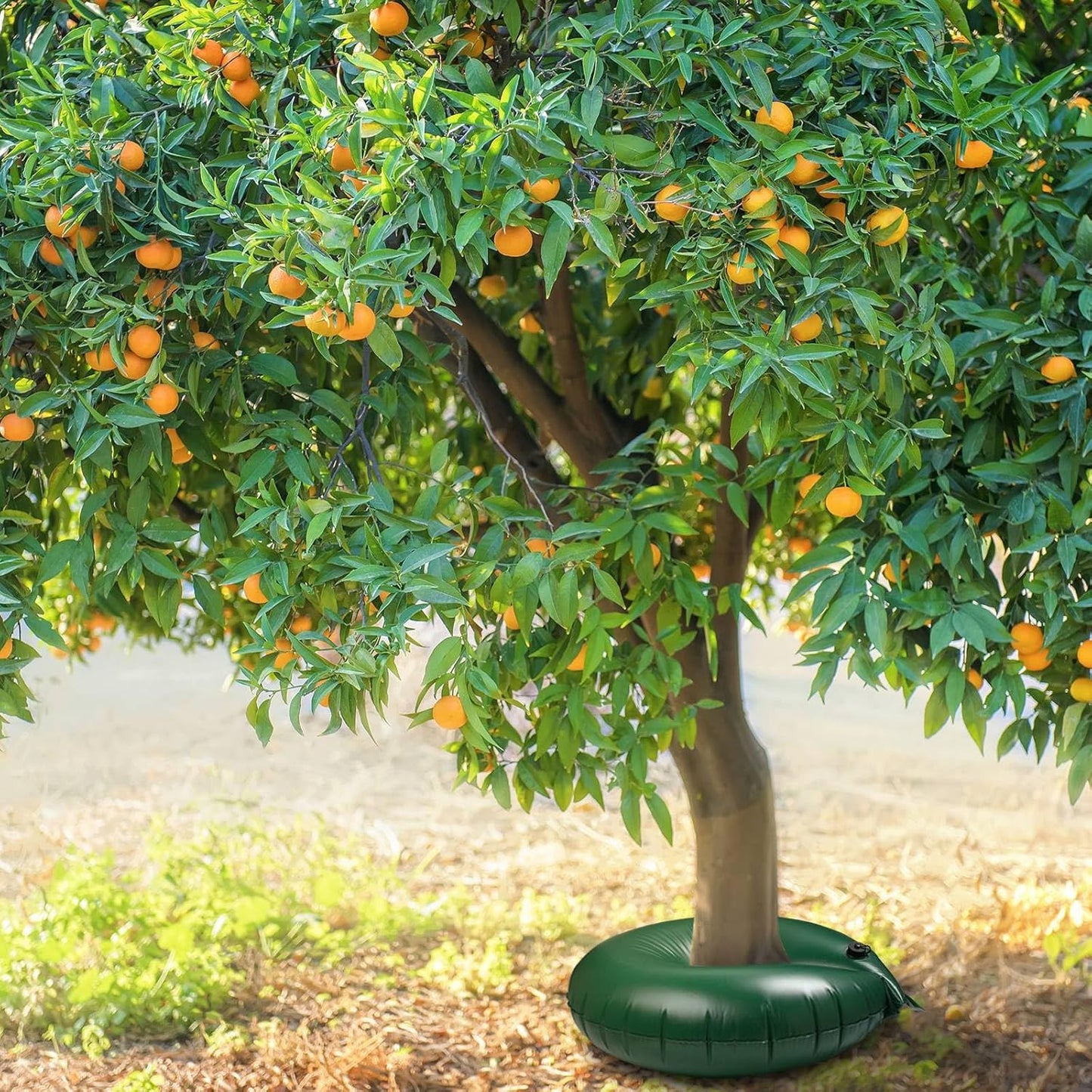 Foaincore 6 Pcs 10 Gallon Heavy Duty Tree Watering Ring PVC Drip Irrigation Deep Tree Root Watering Bag Round Trees Slow Release Water Pouch Planting Drip Irrigation Rings for Gardening Supply(Green)
