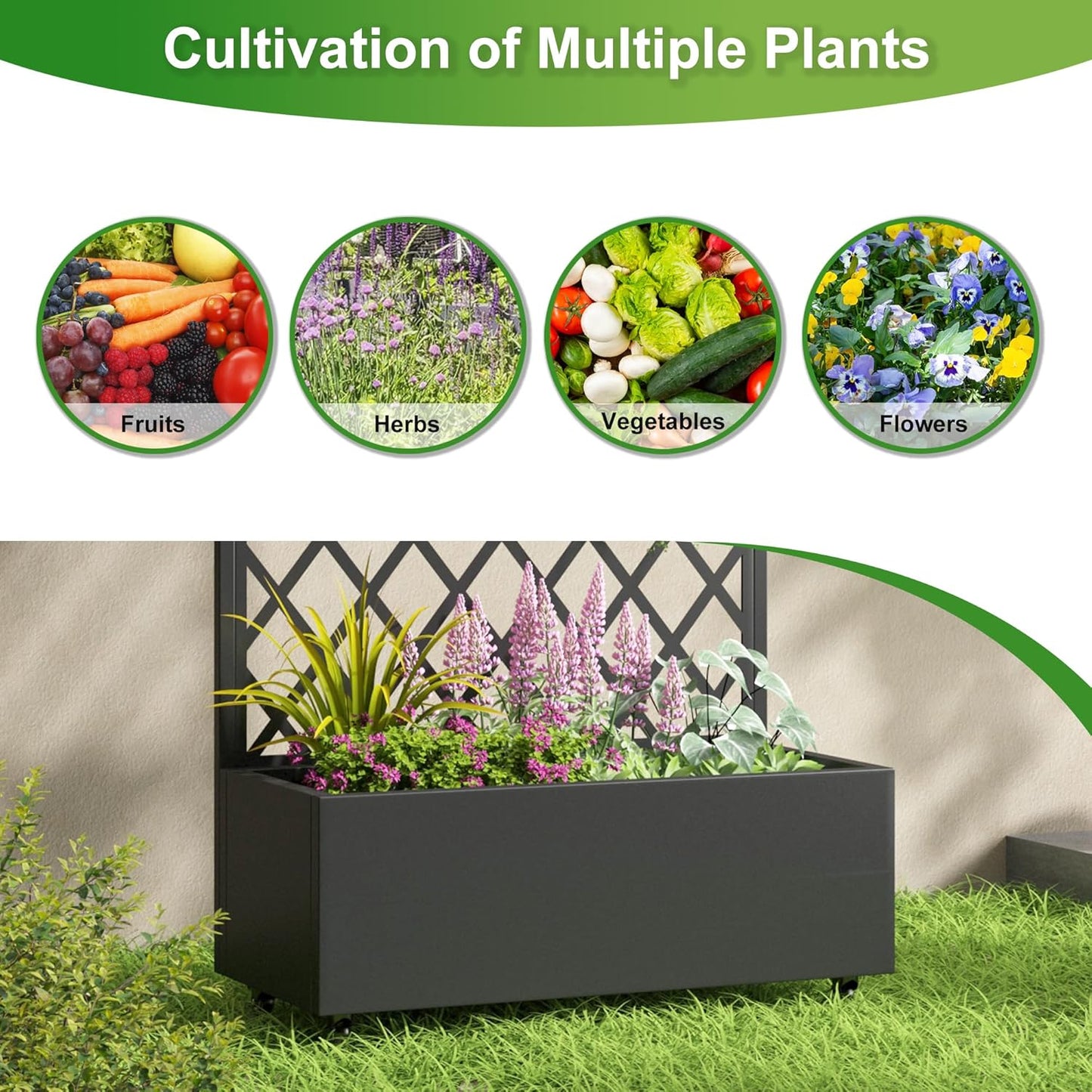 Casaphoria Metal Raised Garden Bed with Trellis and Wheels, 72"x47"x16" Planter Box for Climbing Plants, Vegetables & Vines, Features Drainage Holes and Privacy Screen (Black-Louver) - Colors D