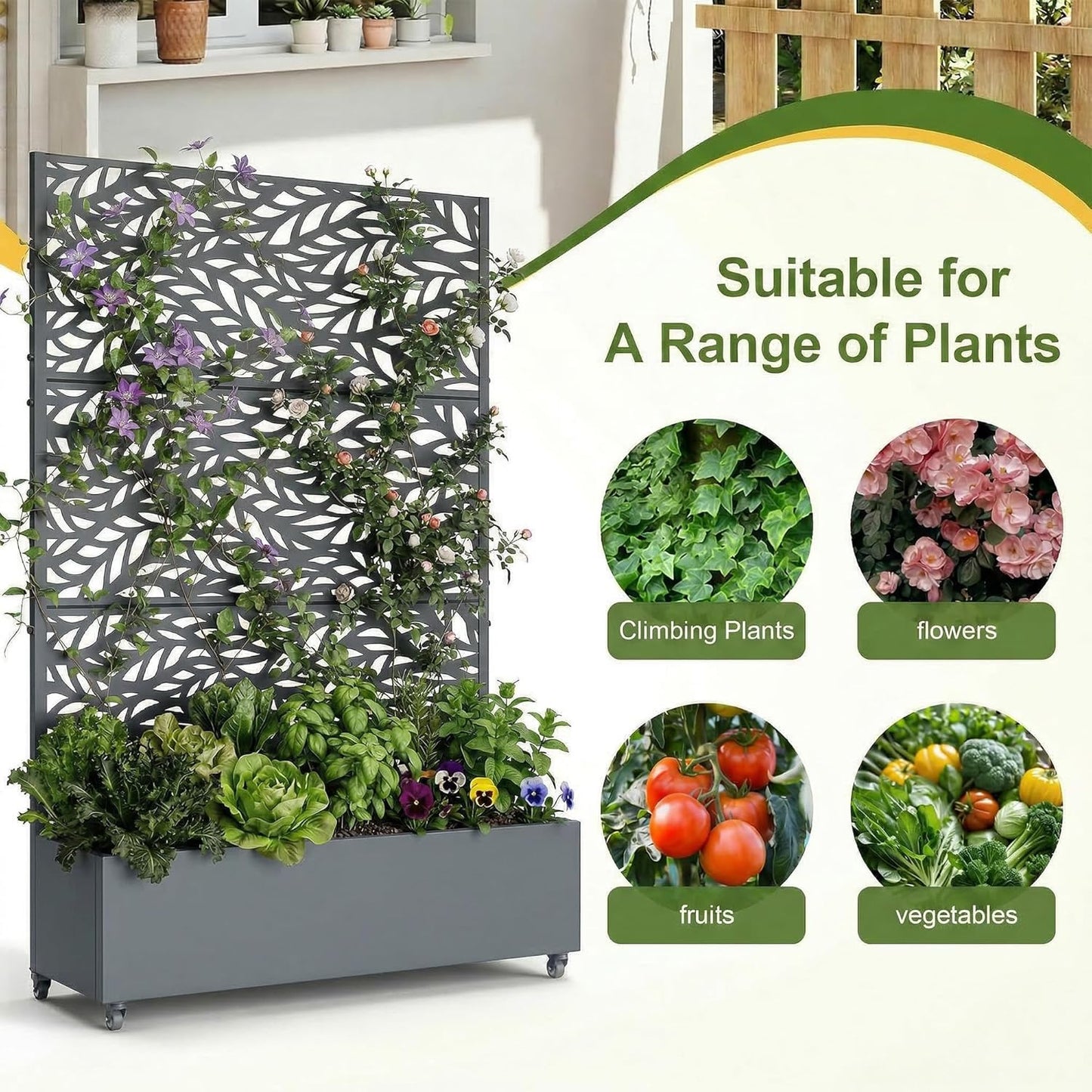 Casaphoria Metal Raised Garden Bed with Trellis and Wheels, 72"x47"x16" Planter Box for Climbing Plants, Vegetables & Vines, Features Drainage Holes and Privacy Screen (Black-Louver) - Colors B