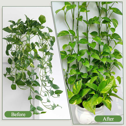 100 Pcs Plant Climbing Wall Fixture Clips, White Plant Fixer with Self-Adhesive Hook, Fixing Clip Vines Holder for Indoor Outdoor Plants Support Cable Wire (Medium)