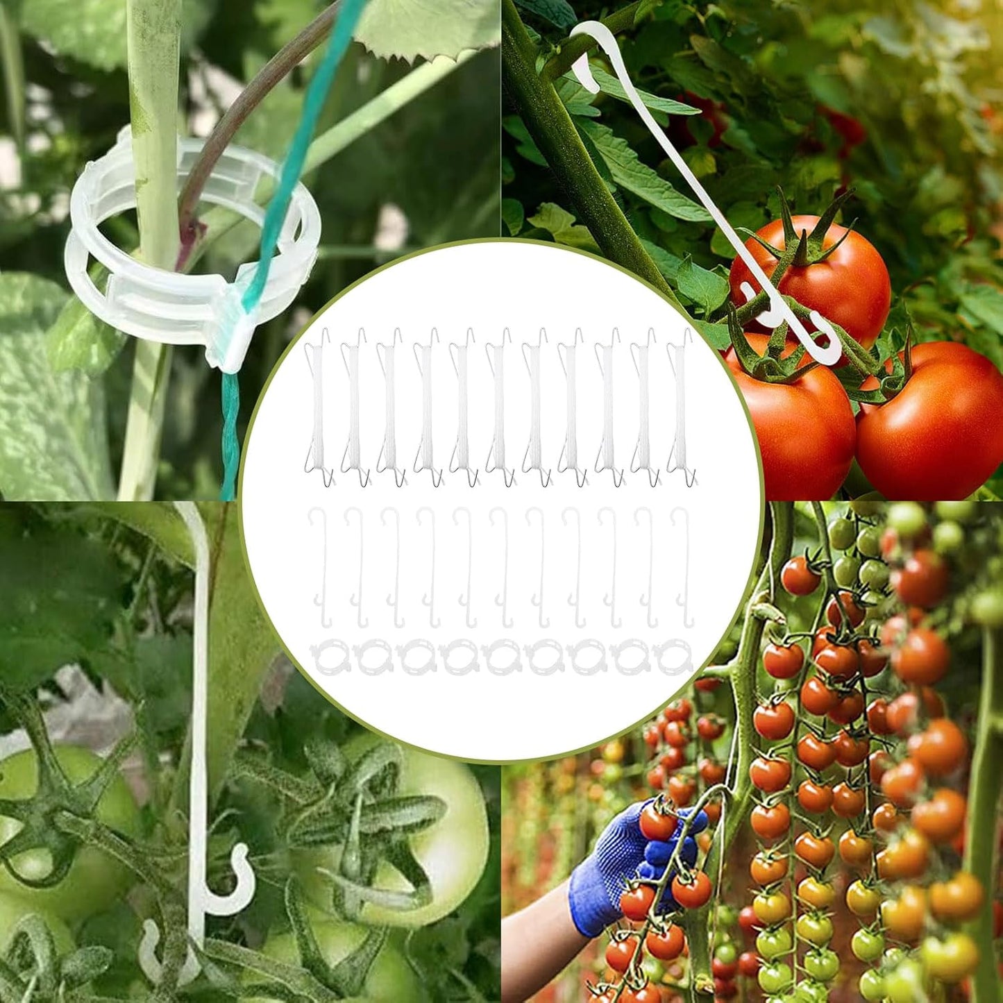 Saihisday Plant Climbing Hooks Tomato Support J Hook Reusable Tomato Twine String Cucumber Trellis Clips Plant Support Clips
