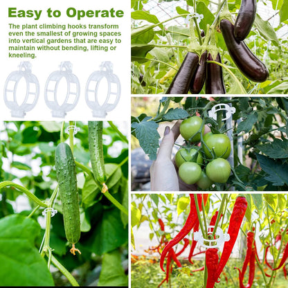 40Pcs Tomato Hooks with String, Holder & Plant Support Clips - 33.3ft Twine to Prevent Tomatoes from Pinching or Falling Off
