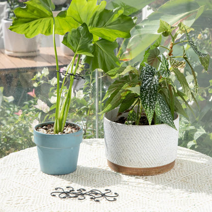 5PCS Monstera Plant Support Hook - 4.1 * 4.4IN Stem Holder