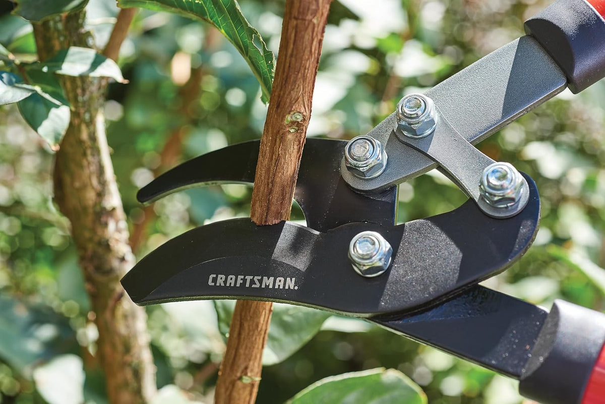 Craftsman Compound Bypass Lopper