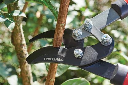 Craftsman Compound Bypass Lopper