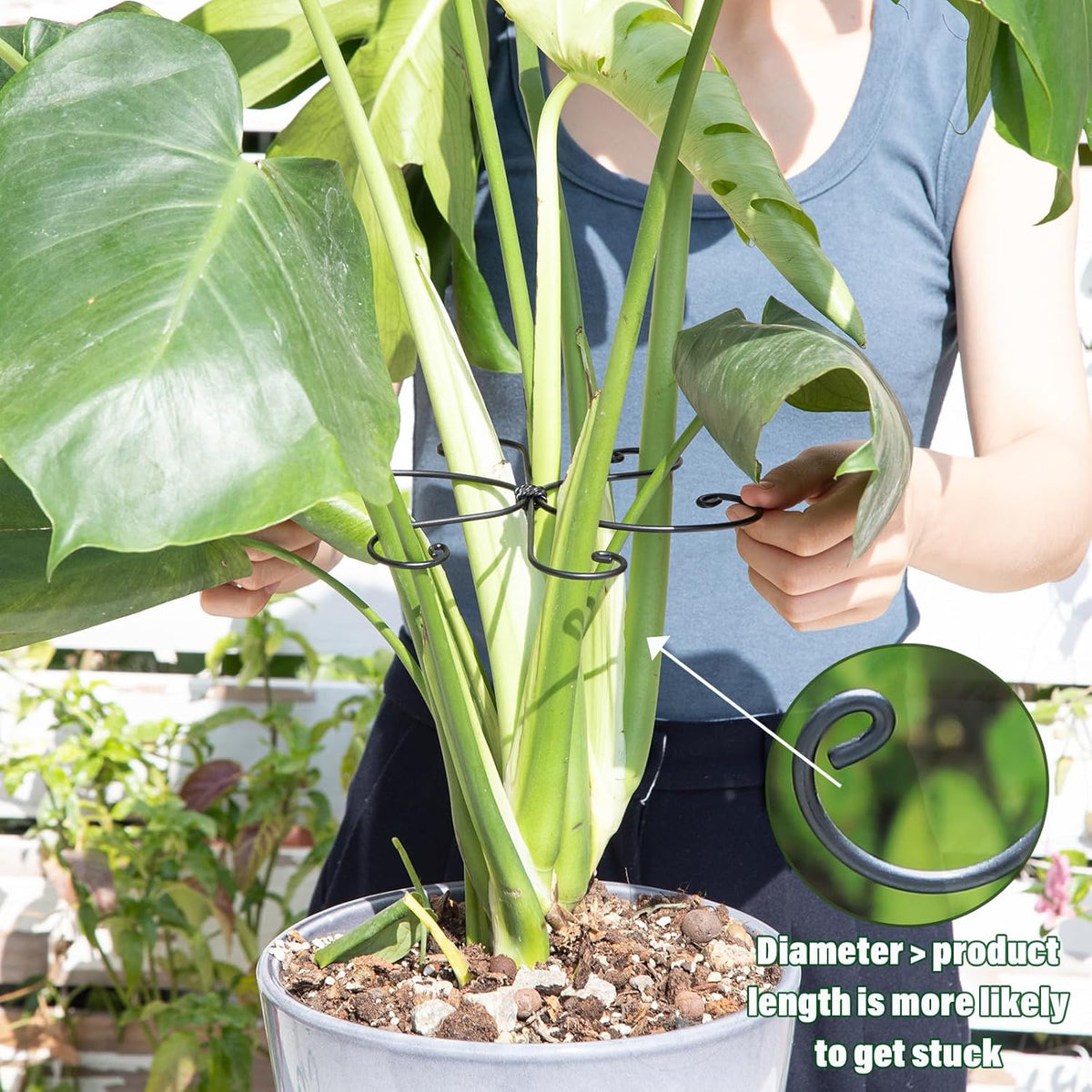 5PCS Monstera Plant Support Hook - 4.1 * 4.4IN Stem Holder