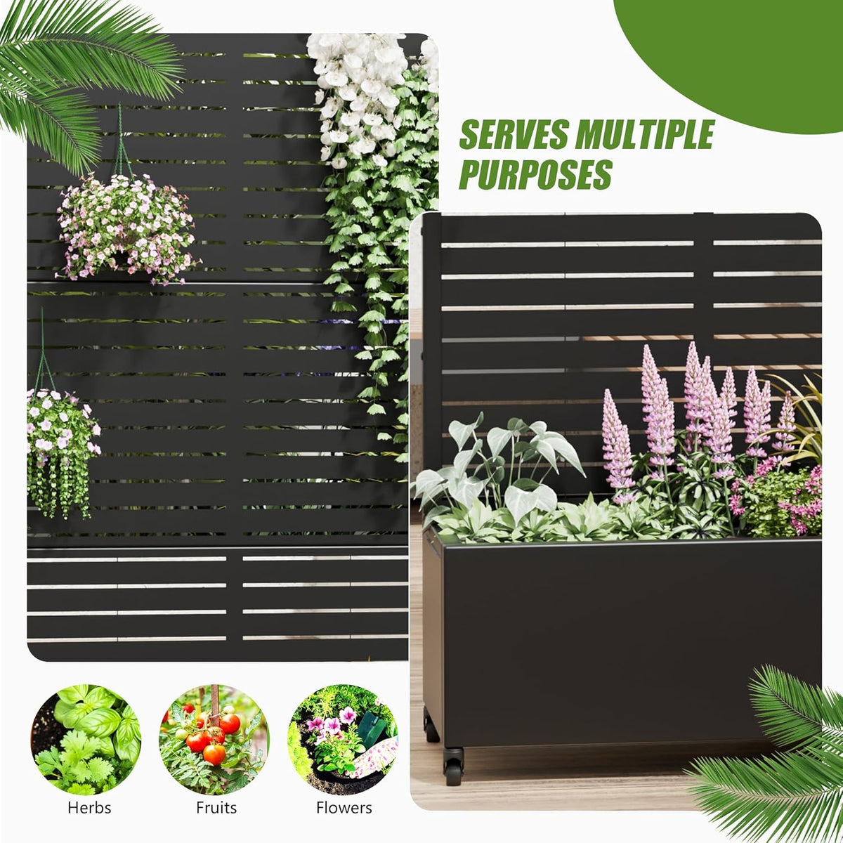 Casaphoria Metal Raised Garden Bed with Trellis and Wheels, 72"x47"x16" Planter Box for Climbing Plants, Vegetables & Vines, Features Drainage Holes and Privacy Screen (Black-Louver) - Colors B