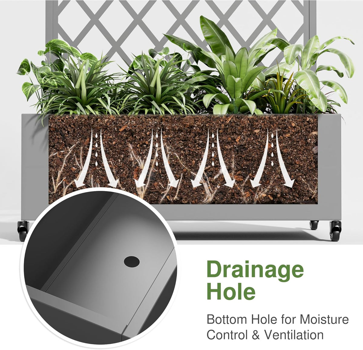 Casaphoria Metal Raised Garden Bed with Trellis and Wheels, 72"x47"x16" Planter Box for Climbing Plants, Vegetables & Vines, Features Drainage Holes and Privacy Screen (Black-Louver) - Colors C