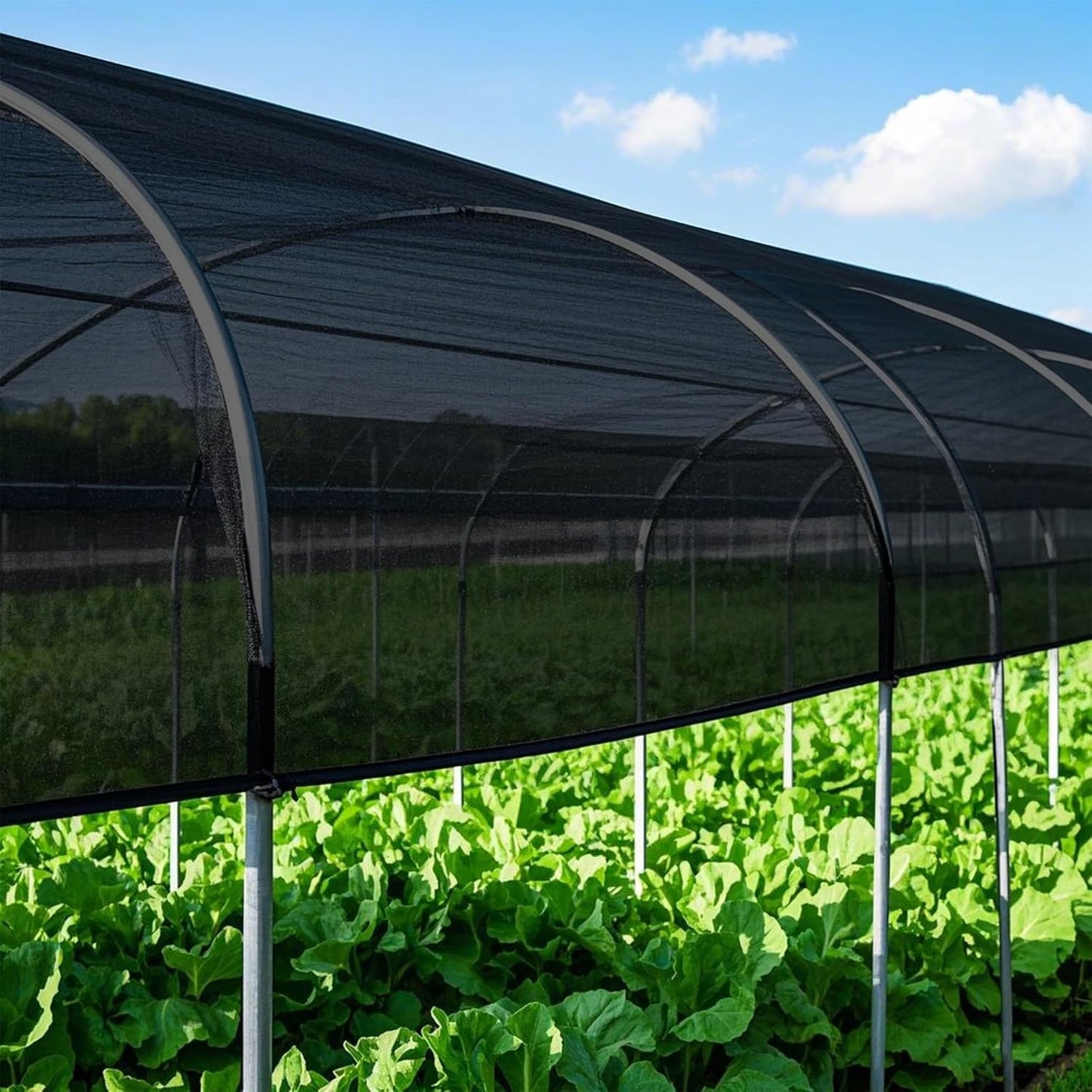 winemana 70% Shade Cloth 10x20 FT - Durable UV Blocking Mesh Tarp for Garden, Patio, Greenhouse & Chicken Coop - Sun Shade Cover with Grommets for Plants, Dog Kennel, Outdoor Use