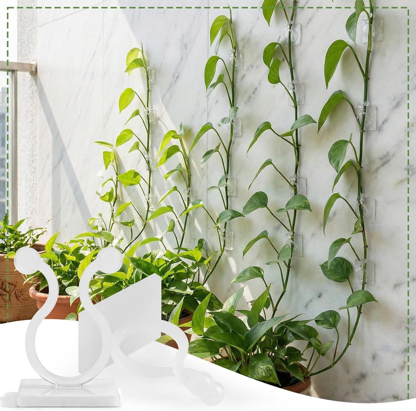 100 Pcs Plant Climbing Wall Fixture Clips, White Plant Fixer with Self-Adhesive Hook, Fixing Clip Vines Holder for Indoor Outdoor Plants Support Cable Wire (Medium)