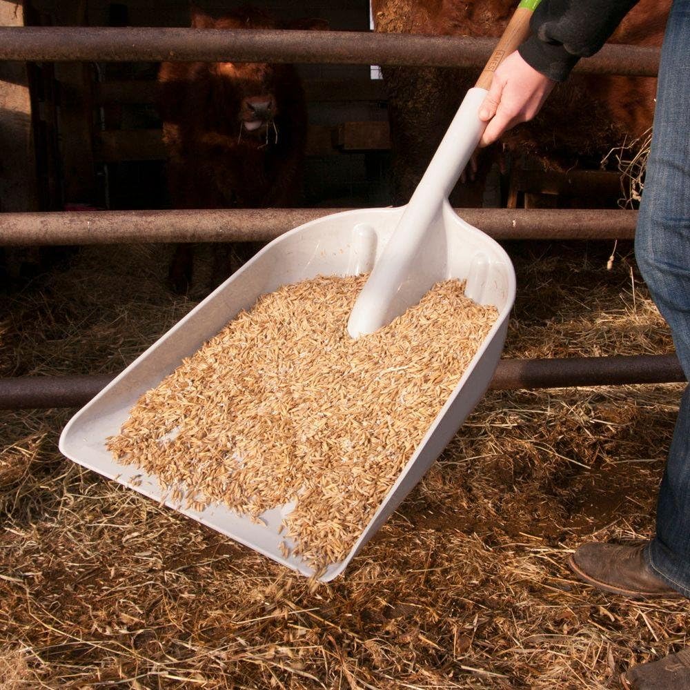 AMES 46-Inch Poly Scoop with Hardwood Handle and Ergonomic D-Grip, Ideal for Garden Care, Landscaping, Moving Shavings or Grain, Farming Tasks, and Heavy-Duty Yard Work