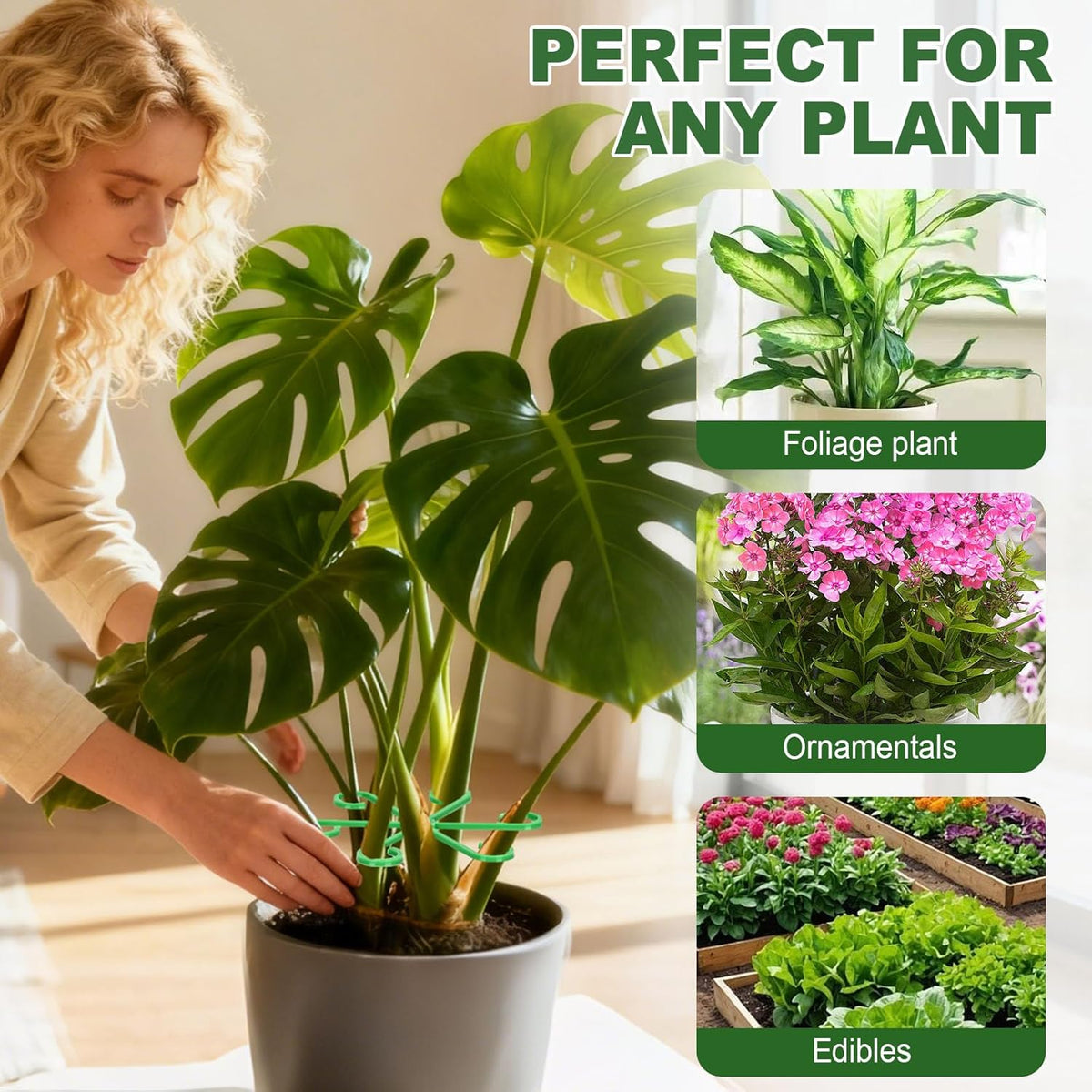 8pcs Plant Stem Support, Plant Support for Indoor Plants, 4 Sizes Climbing Houseplant Stem Holders, Reusable Plant Stabilizer, Indoor Plants Accessories