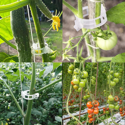 50PCS Tomato Hooks with String, Tomato and Vine Crop Trellis,Tomato Plant Support Clips with 33.3ft Twine to Prevent Tomatoes from Pinching or Falling Off(Green)