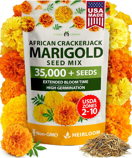 HOME GROWN Organic Marketmore Cucumber Seeds 200+ Heirloom Non-GMO Seeds for Planting, High Germination, Hardy & Vigorous Slicing Cucumber, Trellis & Raised Bed Garden (Cucumis sativus) - Colors A