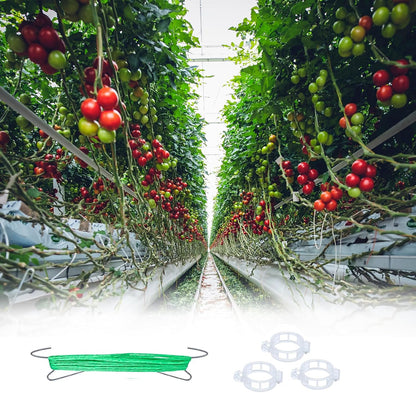 50PCS Tomato Hooks with String, Tomato and Vine Crop Trellis,Tomato Plant Support Clips with 33.3ft Twine to Prevent Tomatoes from Pinching or Falling Off(Green)