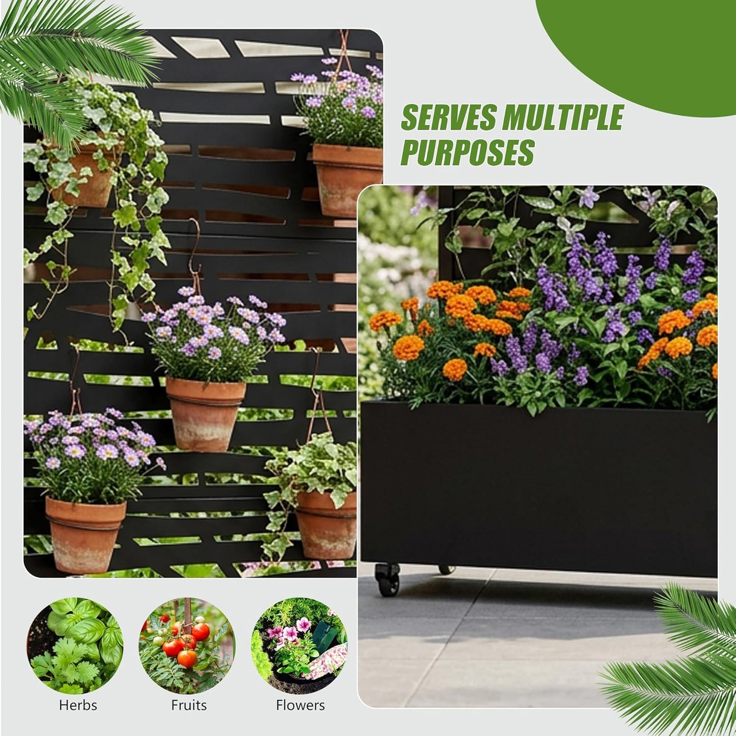 Casaphoria Metal Raised Garden Bed with Trellis and Wheels, 72"x47"x16" Planter Box for Climbing Plants, Vegetables & Vines, Features Drainage Holes and Privacy Screen (Black-Louver) - Colors A
