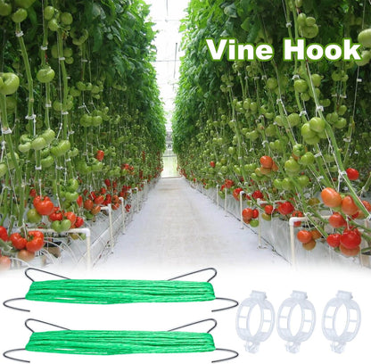 30Pcs Tomato Hooks with String, Tomato Support Hooks, Tomato Holder Hooks & Plant Support Clips with 33.3ft Twine to Prevent Tomatoes from Pinching or Falling Off