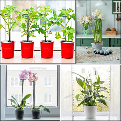 Green Metal Plant Support Stakes with Rings (Pack of 8) and 10 Plant Clips - Garden Single Stem Support Rod Set for Amaryllis, Rose, Tomato Seedling, Sapling