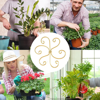 5 Pcs Plant Stem Support, Iron Monstera Plant Support, Durable Hook Stem Supports for Healthy Growth, Bamboo Clamp Set for Leaf Stabilization and Support, Ideal Present for Plant Lovers