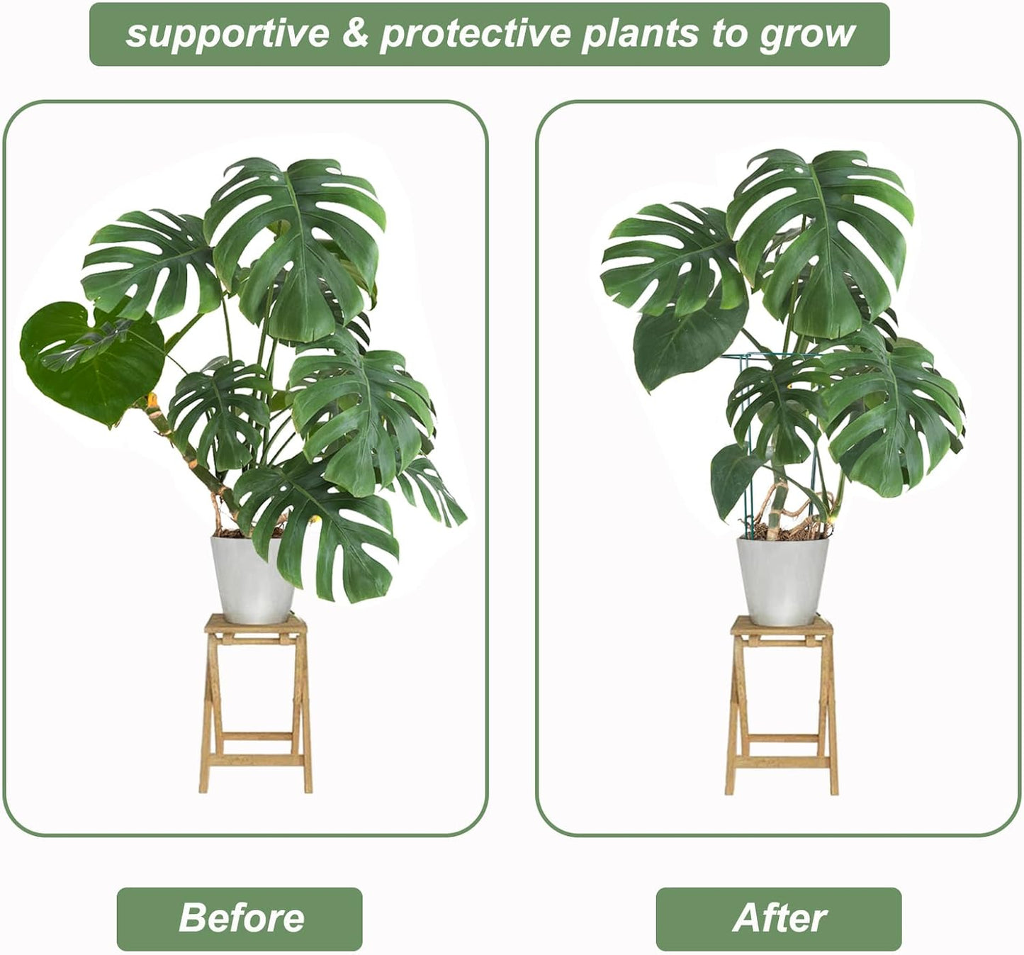 12 Pack Plant Support Stake, 16 Inch Peony Cages and Supports for Outdoor Plants, with 15 Pcs Plant Labels, 20 Pcs Plant Clips, 7ft Plant Ties