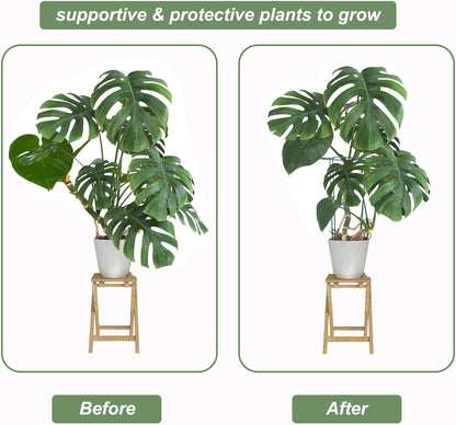 12 Pack Plant Support Stake, 16 Inch Peony Cages and Supports for Outdoor Plants, with 15 Pcs Plant Labels, 20 Pcs Plant Clips, 7ft Plant Ties
