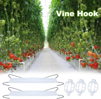 40Pcs Tomato Hooks with String, Holder & Plant Support Clips - 33.3ft Twine to Prevent Tomatoes from Pinching or Falling Off