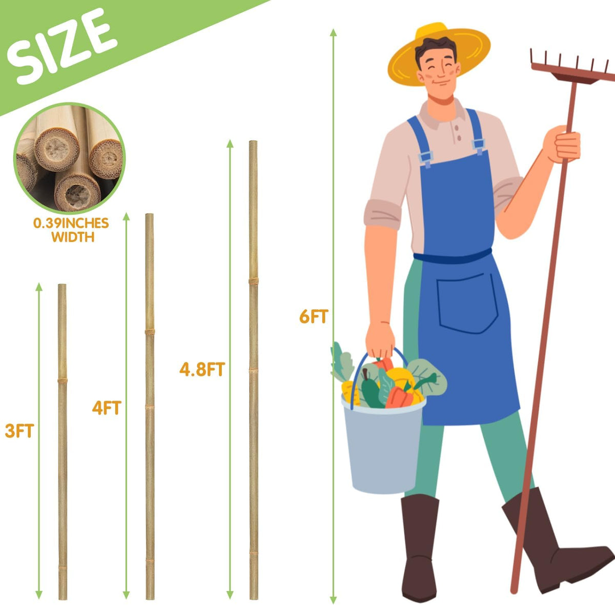 GAGINANG Natural Bamboo Garden Stakes, 4FT Trellis Plant Support 25Pcs