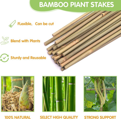 GAGINANG Natural Bamboo Garden Stakes, 4FT Trellis Plant Support 25Pcs