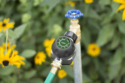 62041 Watering Timer, silver