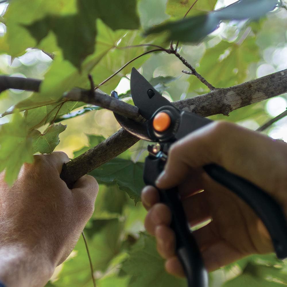 Professional Bypass Pruning Shears, Garden Tools, 1" Cut Capacity