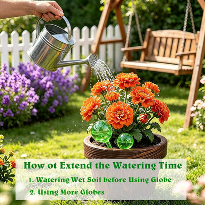 Plant Automatic Watering Devices, Clear Plastic Plant Self-Watering Bulb