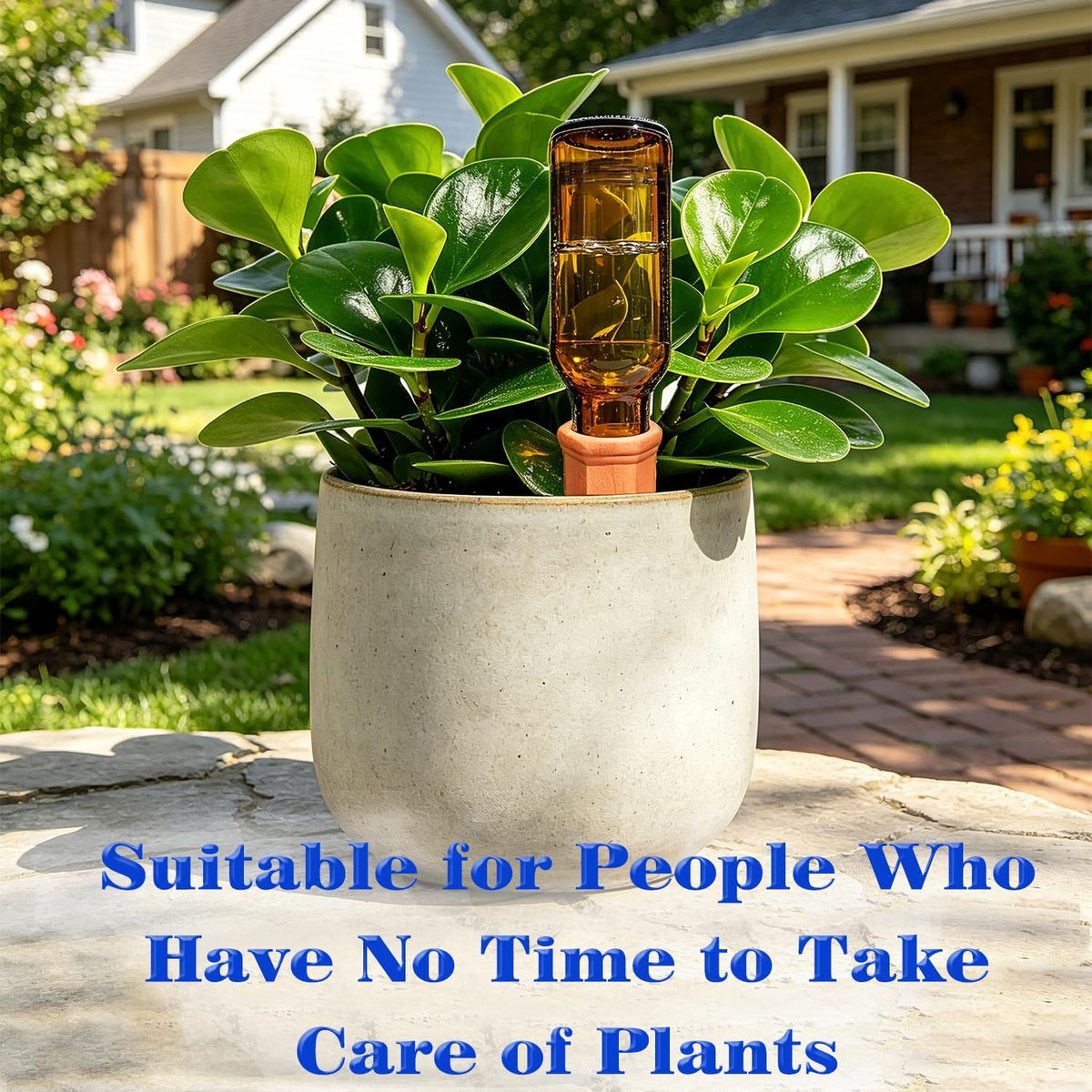 Plant Automatic Watering Devices, Clear Plastic Plant Self-Watering Bulb