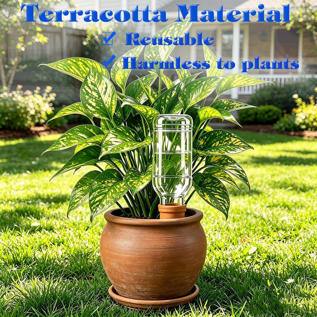Plant Automatic Watering Devices, Clear Plastic Plant Self-Watering Bulb