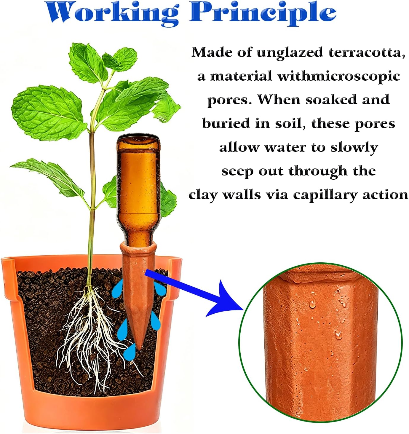 Plant Automatic Watering Devices, Clear Plastic Plant Self-Watering Bulb