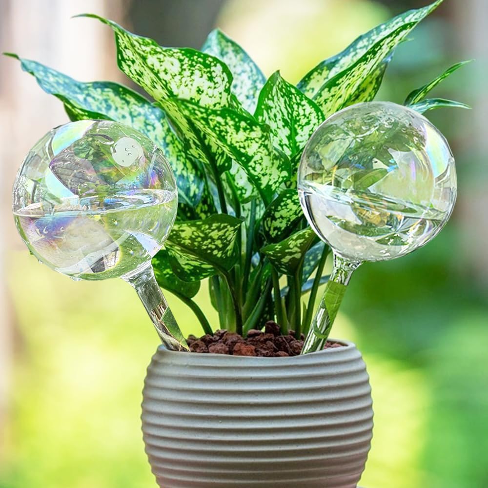 Plant Automatic Watering Devices, Clear Plastic Plant Self-Watering Bulb